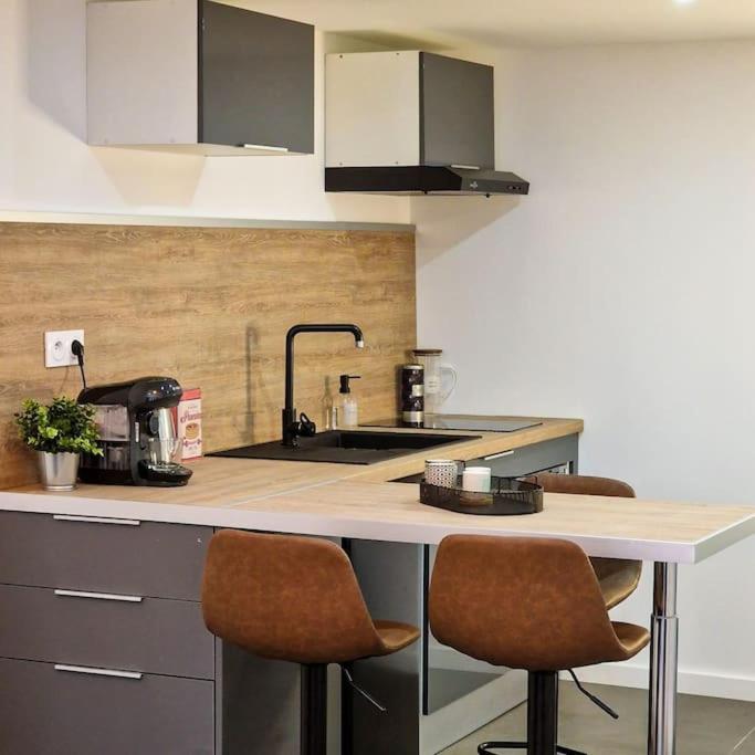 생테티엔 Grand Loft Avec Terrasse Privee 아파트 외부 사진